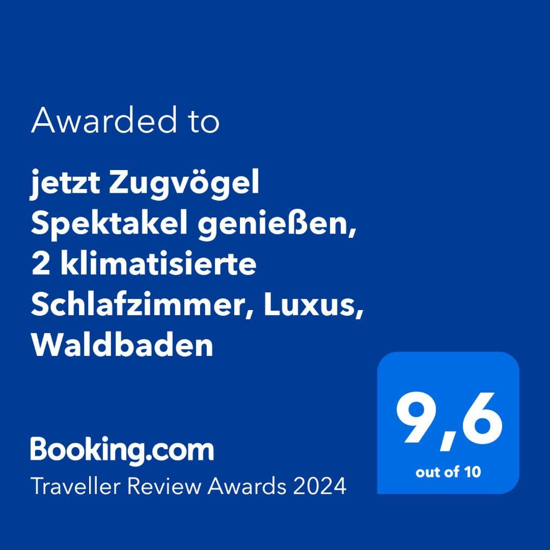 5 Sterne Bahnhoftraum, Appartement "Waldliebe" 133Qm, Grosse Terrasse 70Qm, Qr Code Scannen Fuer Virtuellen Rundgang, Premium Ausstattung برونفلس المظهر الخارجي الصورة